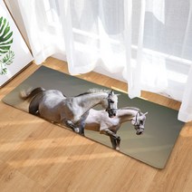 이지웜 지브라 발매트, A-17