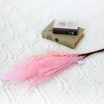 조아트 팜파스 조화 갈대 뮬리가지 5p, 핑크
