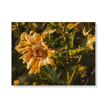 리틀하이커 flower 캔버스 프린팅 액자 A3W35 98