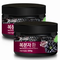 조은약초 프리미엄 복분자환, 200g, 2개