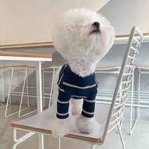 매그독 멜랑 스트라이프 반려동물 티셔츠, 네이비