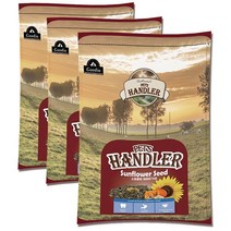 펫츠핸들러 해바라기씨, 400g, 3개
