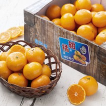 감귤농협 GAP 인증 하우스 감귤, 5kg, 1개