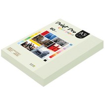 종이문화 프린트 프로 칼라 복사용지 No 18 라이트그레이 80g, A5, 250개