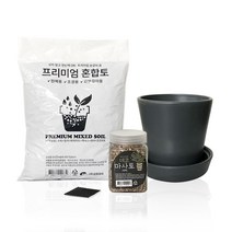 삼호유리 간편 분갈이 파리 화분 세트, 그레이