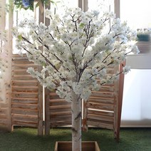 다우에프앤지 미니벚꽃나무 1m, 화이트, 1세트