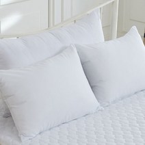 이룸앤 데일리 베이직 베개커버 2p