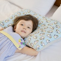 아띠블랑 아이스 인견 경추 베개, 블루펭귄