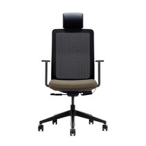 생활지음 라온M 온열시트 사무용 의자 CORM11HP, 블랙(등판), 그린(좌판)