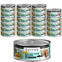 로투스 캣 그레인프리 주식캔 24p, 연어, 78g, 24개