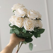 조화 장미 10송이 꽃다발, 크림