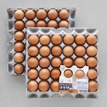탱탱한훈제달걀60구  구매가이드