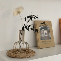 헤이버터 인테리어 철제화병, 골드