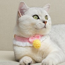 요기쏘 방울 레이스 고양이 니트 케이프 2p, 혼합색상