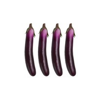 푸드 음식 채소 모형 4p, 007 가지