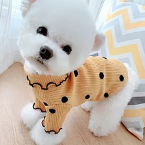 베이비도그 골지쫀쫀티 DT043, 머스타드