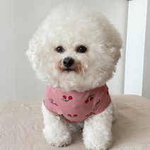바이담수미 강아지 쁘앙체리 티셔츠, 핑크