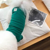 매그독 강아지 루이스 티셔츠, 그린
