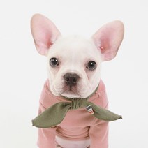 에이미러브즈펫 반려견 폼스카프 L, KHAKI, 1개