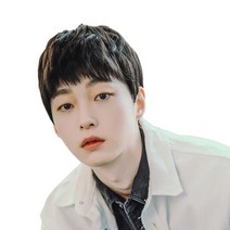 가발나라 남성용 크롭볼륨컷 통가발 L, 내츄럴블랙, 1개