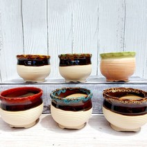 다육이 화분 6종 세트, 국민믿음