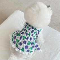 바이담수미 강아지 아쿠아 원피스, 퍼플