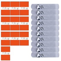 송월타월 스누피 베이직 수건 + 케이스 + 칠순 팔순띠지 D타입 500 x 70 mm 세트, 연회색(수건), 랜덤발송(케이스), 10세트