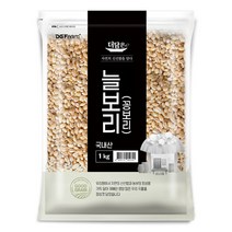 더담은 2023년산 햇곡 국산 늘보리 꽁보리, 1kg, 1개