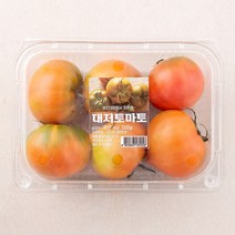 토마토500g 추천 순위 TOP 20 구매가이드