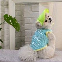 에이미러브즈펫 반려동물 야광 기능성 쿨링 티셔츠, 민트