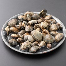 살맛나요 서해안 산지직송 생물 갯벌 참바지락 (냉장), 500g, 1개