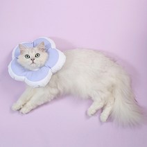 고양이 강아지 꽃모양 쿠션 넥카라 라벤더 S, 80g, 1개