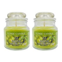 르미에 스몰자 캔들 70g, 2개, 샤인머스켓