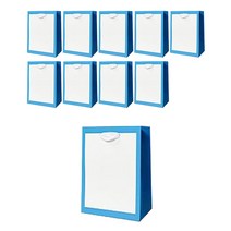 다루미 고급 프레임 쇼핑백 10p, 03 블루