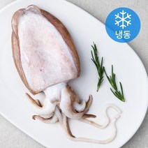 살맛나요 갑오징어 (냉동), 200g, 1개