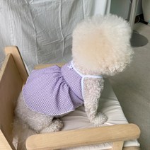 바이담수미 강아지 지지미 크롭 끈나시, 퍼플