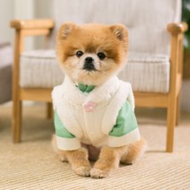 에이미러브즈펫 CC 강아지 한복배자, 화이트무지