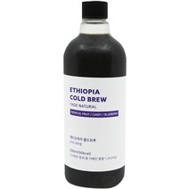 커피플랜트 에티오피아 타데 콜드브루 원액, 500ml, 1개