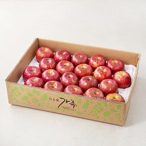 가족 못난이 빨간사과, 5kg(23입이내), 1개
