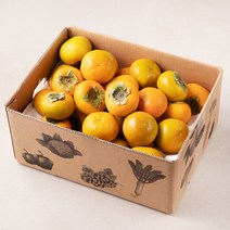 푸드베이스 산지직송 푸드베이스 부유단감, 5kg(25~30입), 1개