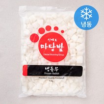 마당발 나박무 (냉동), 1kg, 1개
