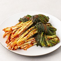 모산김치 갓담은 파김치, 1kg, 1개