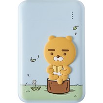 카카오프렌즈 KF고속충전 보조배터리 + TYPE C 케이블 세트, 데일리 라이언