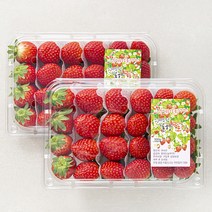 산지직송 스마트팜 김제 설향딸기, 500g(상), 2팩