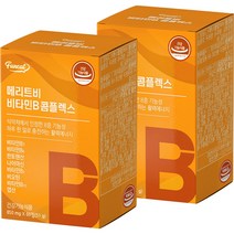 퍼니트 메리트비 비타민B 콤플렉스 51g, 2개
