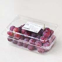 다조은 칠레산 레드글러브 포도, 900g, 1팩