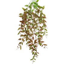 라이크잇 인테리어 식물 벽장식 8 H