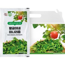 황금이네 착즙 돌 미나리즙 진액, 100ml, 50개