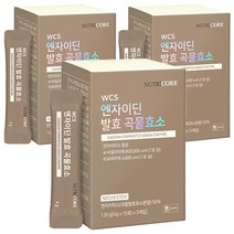 뉴트리코어 WCS 노케스템 엔자이딘 발효 곡물효소, 120g, 3개