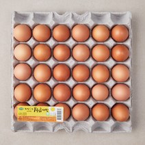 자연애찬 무항생제 인증 자연애란 1등급 대란 30구, 1560g, 1개